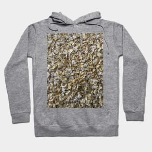 Oatmeal texture background Hoodie